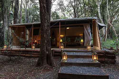 Nairobi tented Camp
