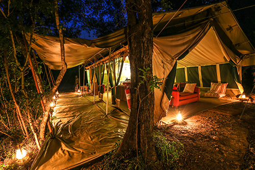 Nairobi tented Camp