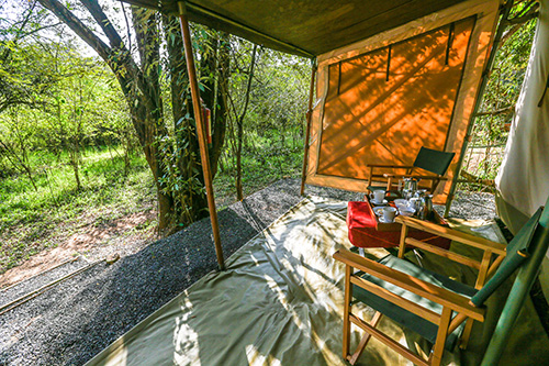 Nairobi tented Camp