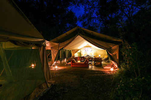 Nairobi tented Camp