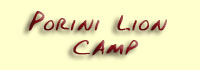 Porini Lion Camp