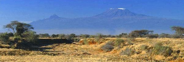 View of Kilimanjaro