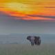African-Splendours-Safari-1.jpg