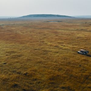 game-drive-rhino-river-lodge.jpg
