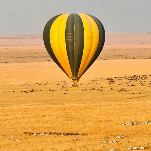balloon-1.jpg