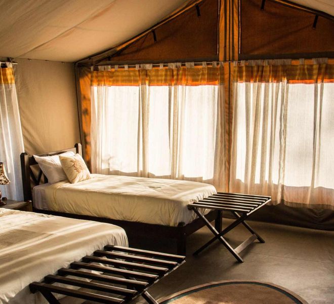 cheetah-camp-tent-rooms.jpg