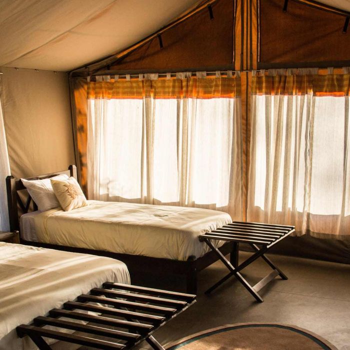 cheetah-camp-tent-rooms.jpg