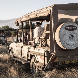game-drive-1.jpg