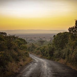 main-road.jpg