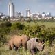 nairobi-national-park-rhinos.jpg
