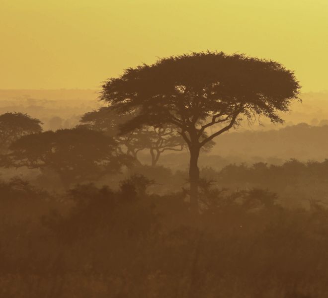 nairobi-national-park-sunrise.jpg