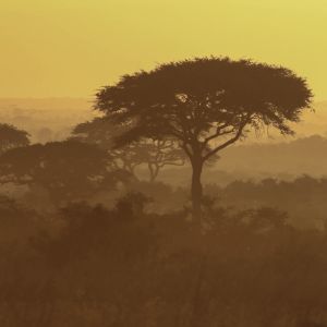 nairobi-national-park-sunrise.jpg