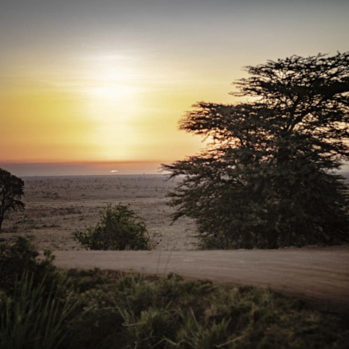 nairobi_national_park-0016.jpg