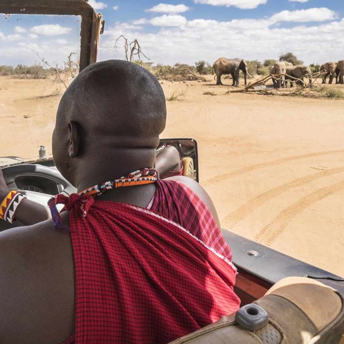 porini-amboseli-camp-game-drives-3.jpg