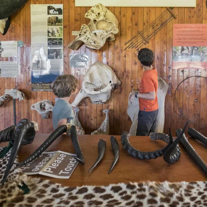 porini-rhino-camp-museum.jpg