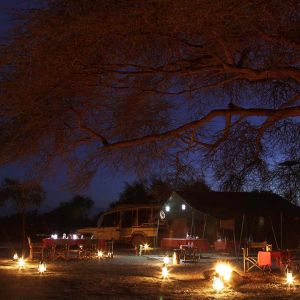 selenkay-camp-banner-night.jpg