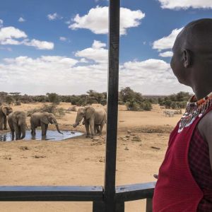 selenkay-camp-maasai-game-drive.jpg