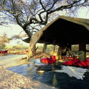 twiga-safari-gallery-image-13-1386540815.jpg