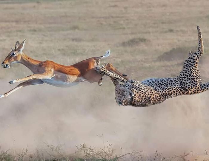 Bush-Camp-the-thrill-is-in-the-chase.jpg