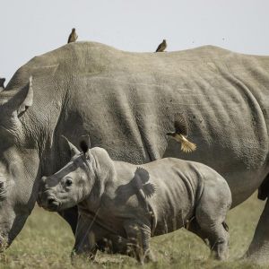 laikipia-location-gallery-2.jpg