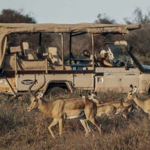 porini-amboseli-camp-game-drives-4.jpg
