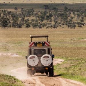 rhino-camp-game-drive-2.jpg