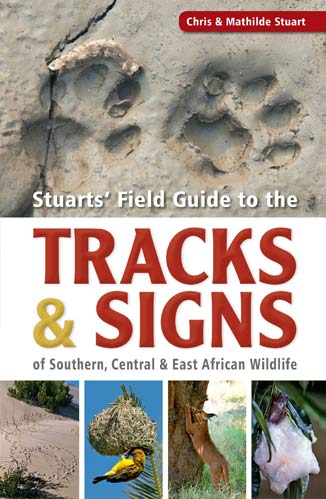 tracks-and-signs.jpg