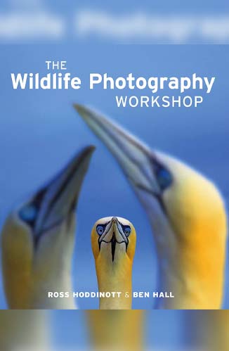 wildlife-photography-workshop.jpg
