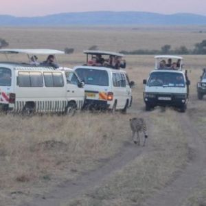 Tourism-Issues-3