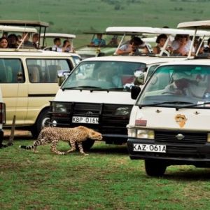 Tourism-Issues-4