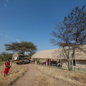 bush-camp
