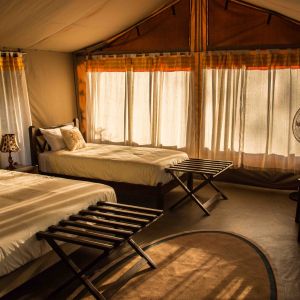 Guest Tent