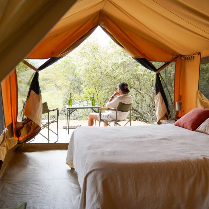 porini_giraffe_traveltomtom_jessmelu-3