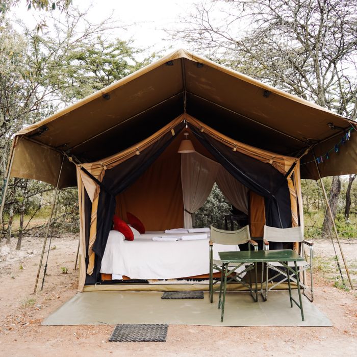 porini_giraffe_traveltomtom_jessmelu-9