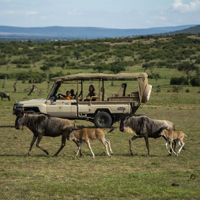Ol Kinyei Safari Cottages - Vanessa_s Pick. 016