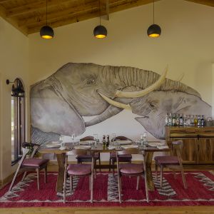 Ol Kinyei Safari Cottages - Vanessa's Pick. 010